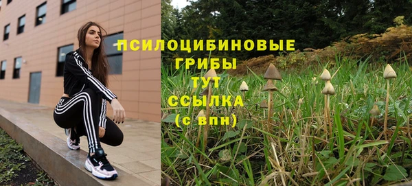 индика Белокуриха