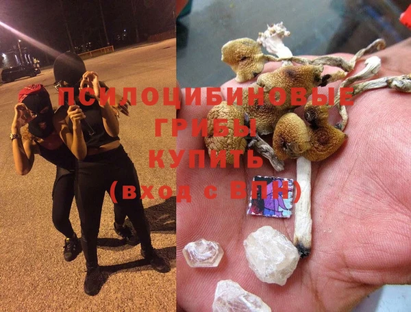 spice Богородск