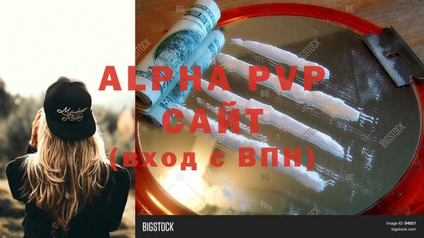 spice Богородск