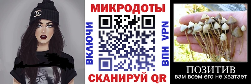 Галлюциногенные грибы Cubensis Мегион