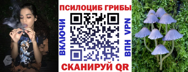 Псилоцибиновые грибы мухоморы  закладка  Мегион 